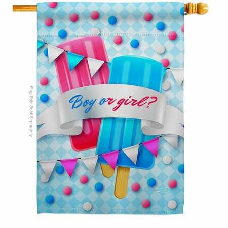 PATIO TRASERO Gender Reveal Celebration New Born Double-Sided Garden Decorative House Flag, Multi Color PA3912133